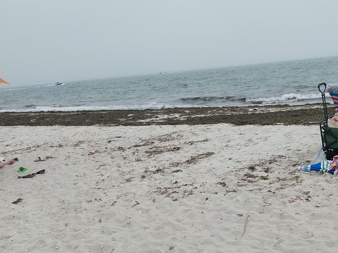Seagull Beach景点图片