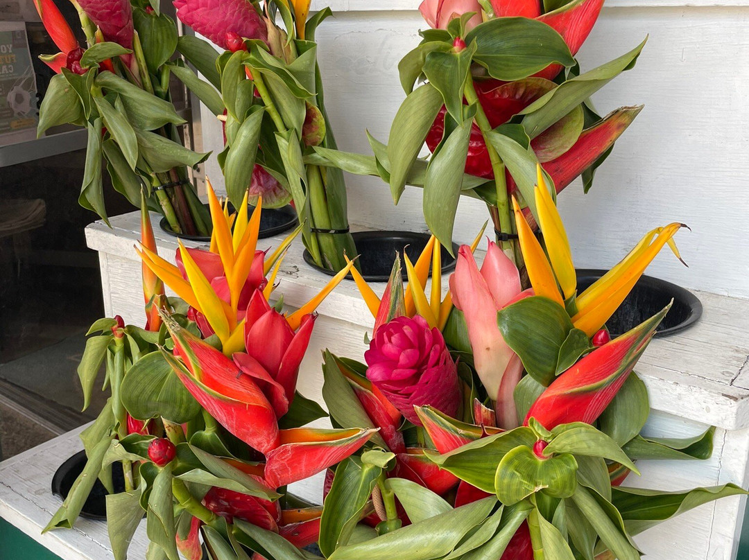 Kalapawai Historic Market-科纳必去景点