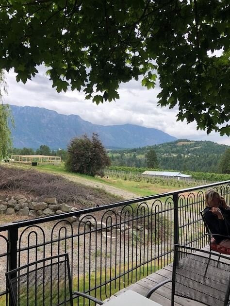Skimmerhorn Winery and Vineyard景点图片