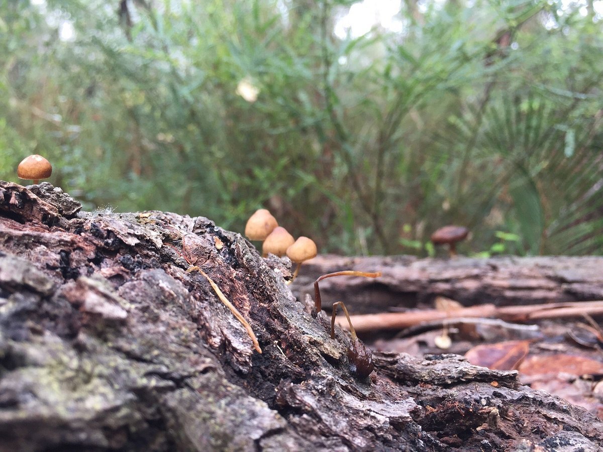 Walpole Wilderness Resort-浴室