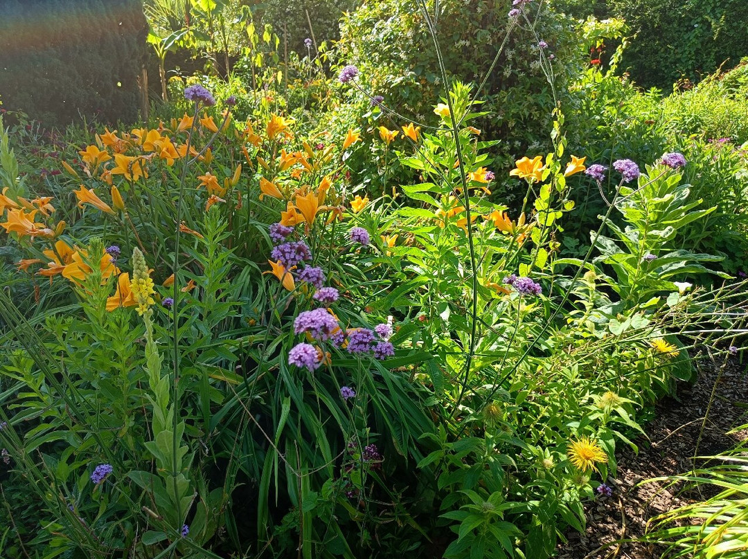 University of Bristol Botanic Garden-布里斯托尔必去景点