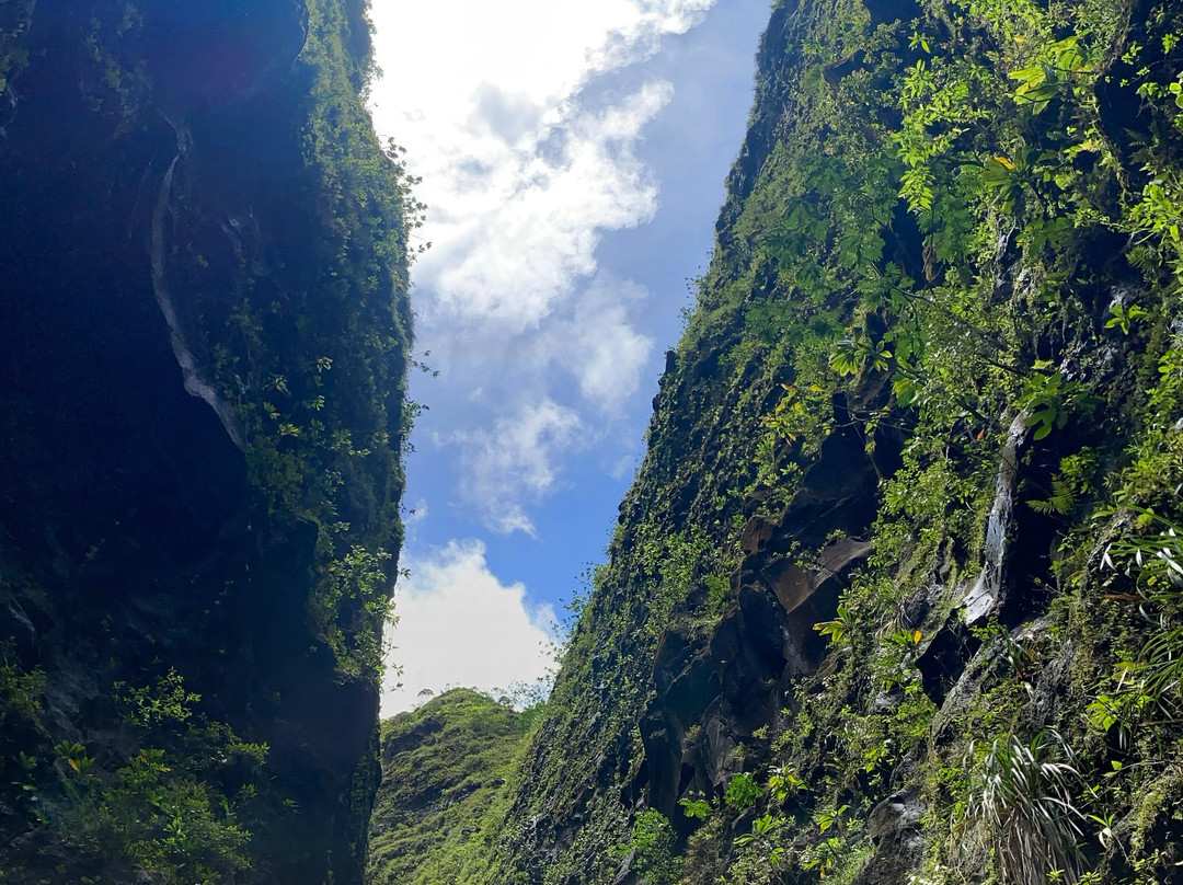 Hike Kauai With Me-普林斯维尔必去景点