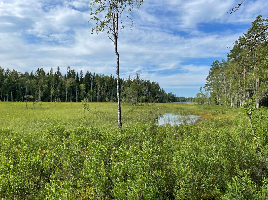 Grössjön Nature Reserve-于默奥必去景点