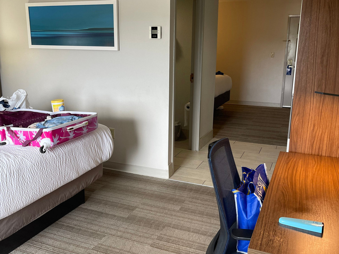 Holiday Inn Express & Suites Pigeon Forge - Sevierville By IHG主图