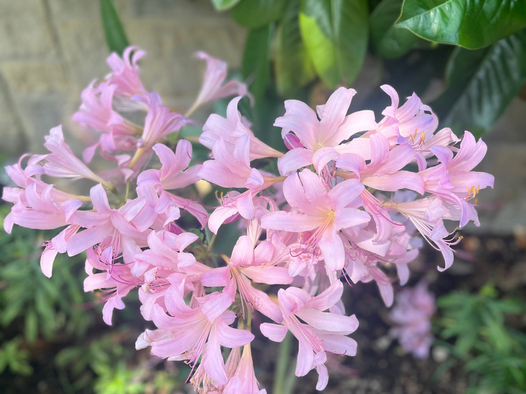 The Ewing and Muriel Kauffman Memorial Garden-堪萨斯城必去景点