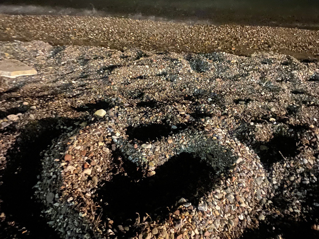 Hotel Violetta主图