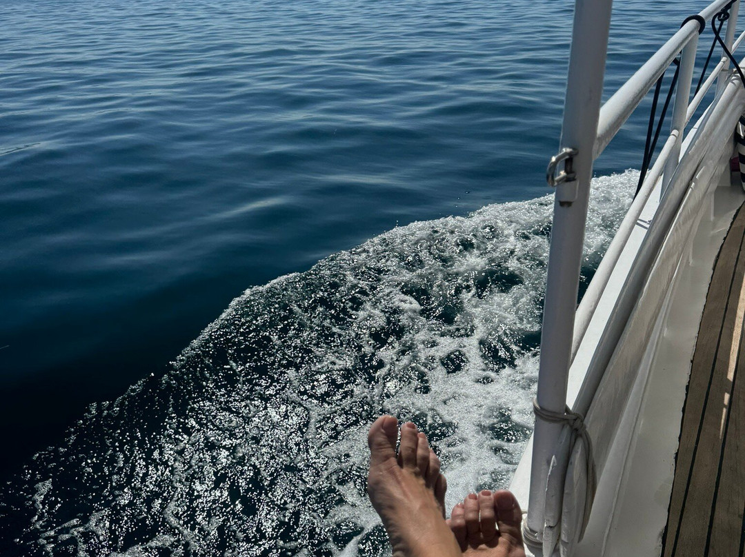 Private boat tour Ivan-Sveti Filip i Jakov必去景点