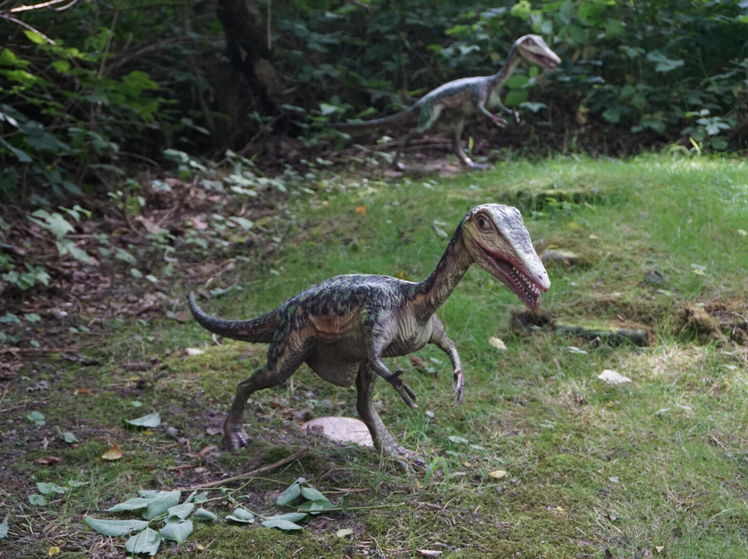Dinosaurierland Rügen景点图片
