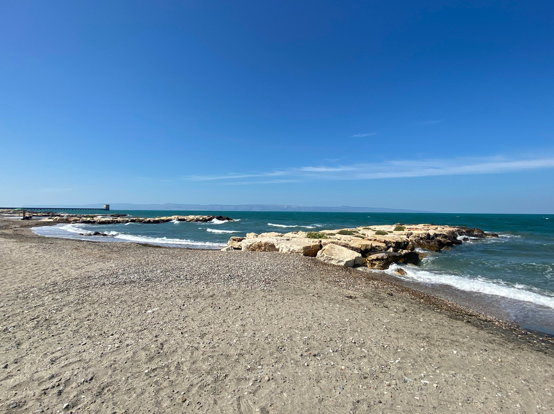 B&B Fenicottero Rosa主图