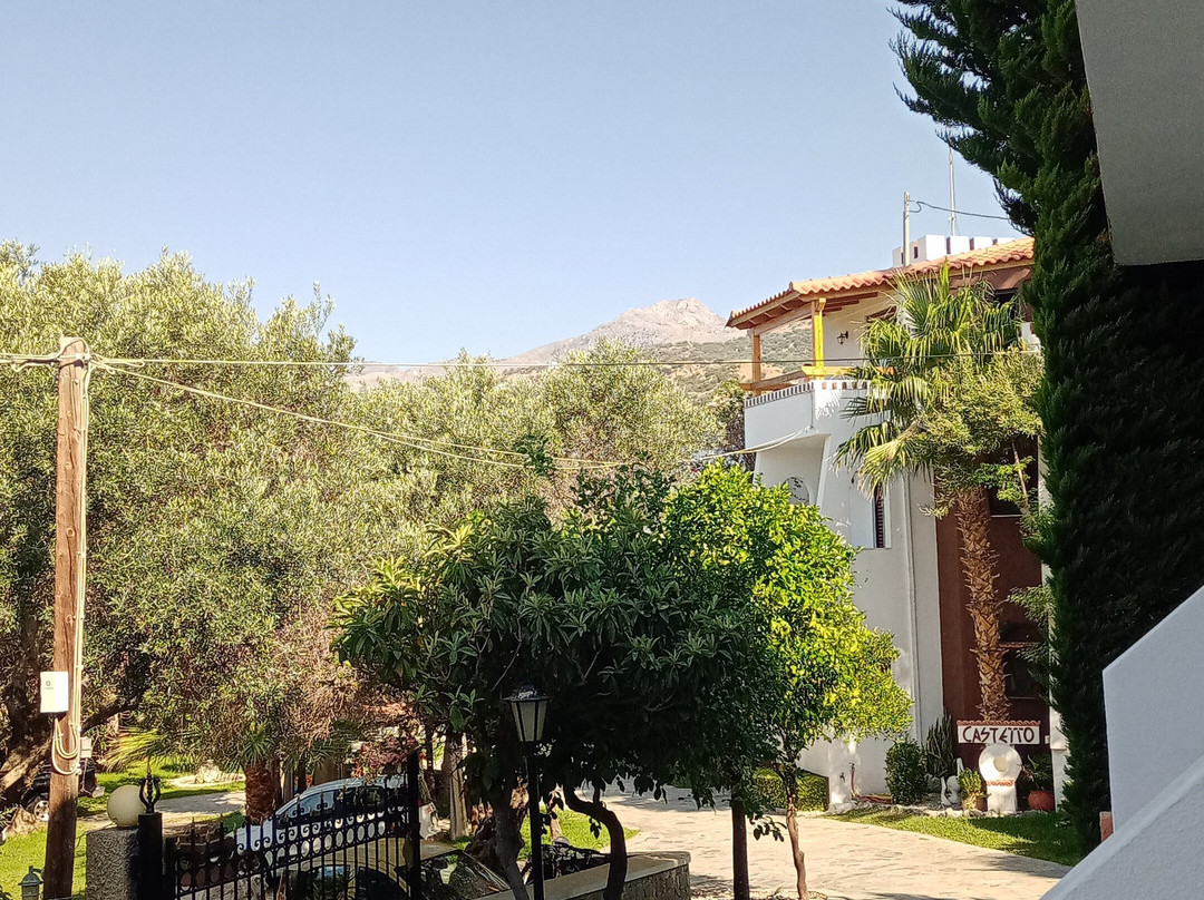 Stella Studios主图