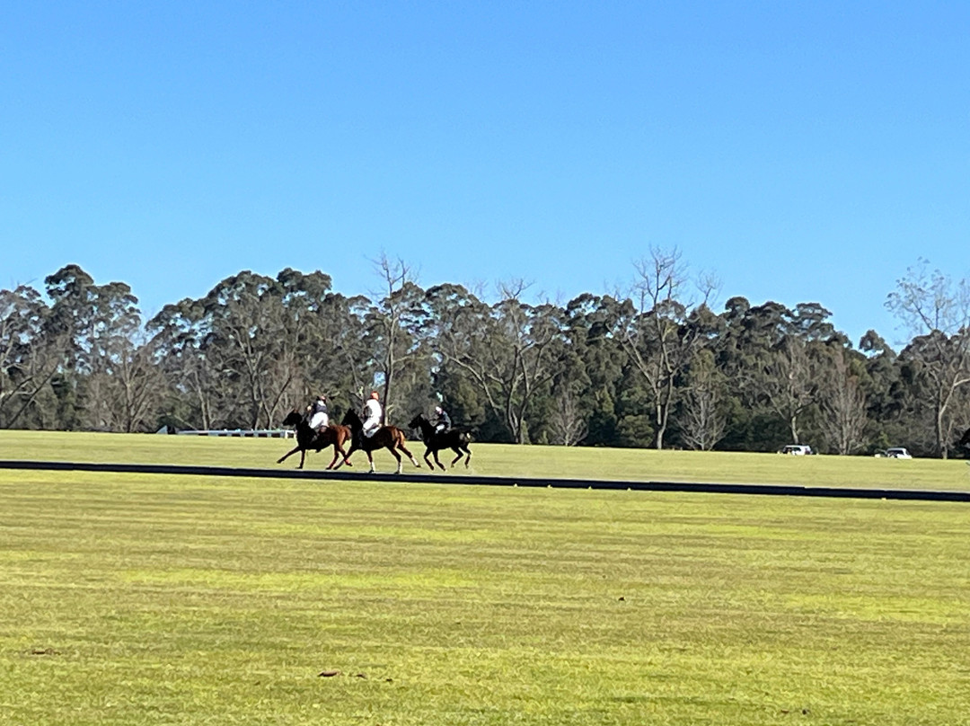 Kurland Park Horse Trails-普利登堡湾必去景点