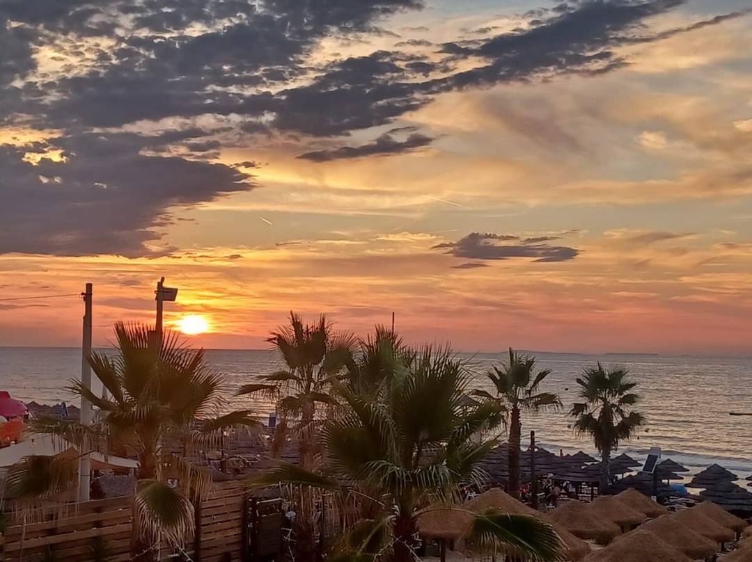 Albergo Lido Diomedee主图