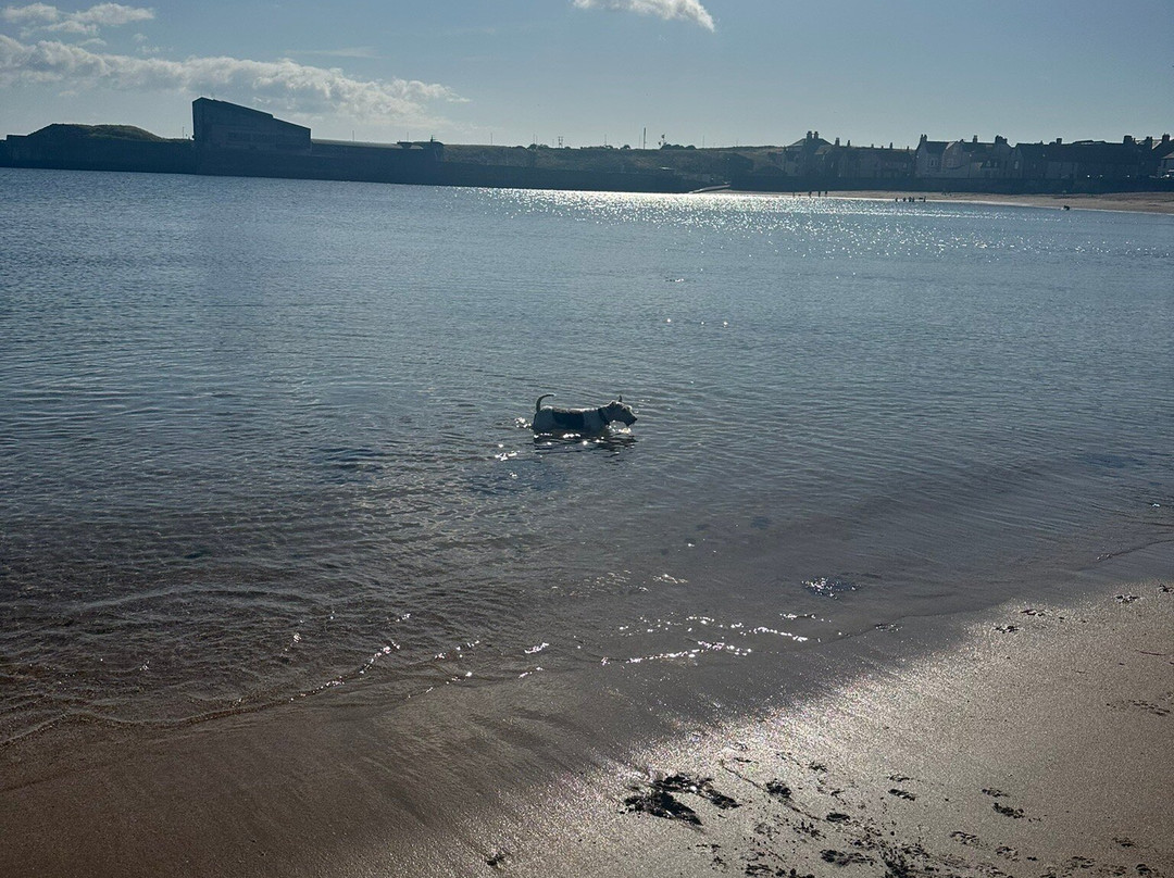 Eyemouth Beach-Eyemouth必去景点