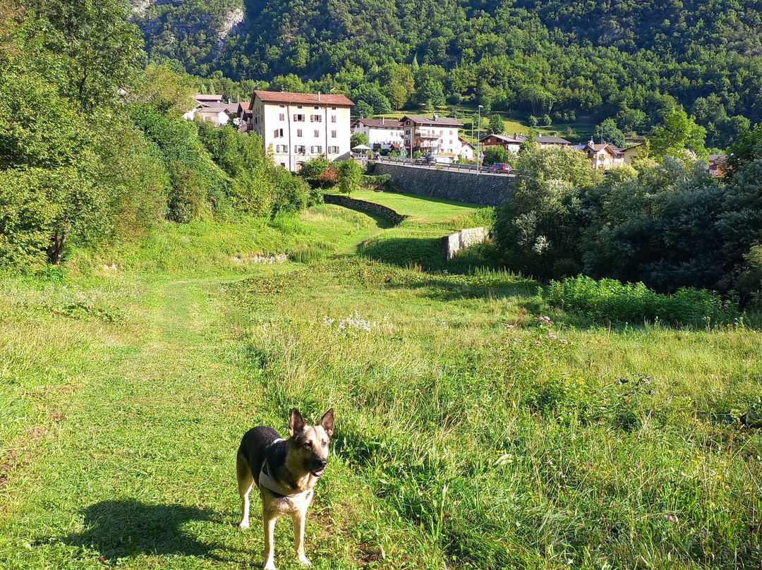 Cascata Della Civetta-Lastebasse必去景点
