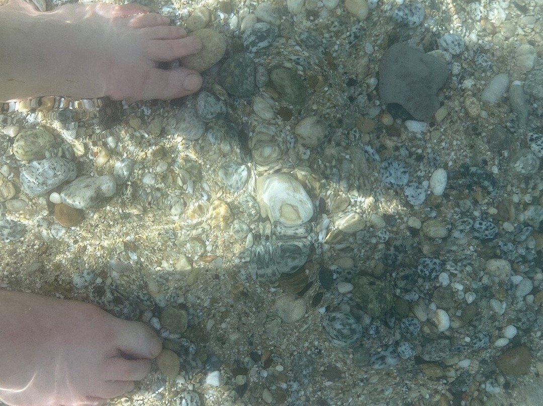 Scoglio della Galea景点图片