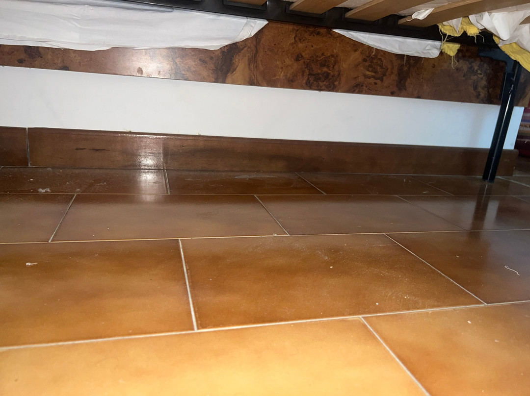 President & Nebenhaus Sporting主图