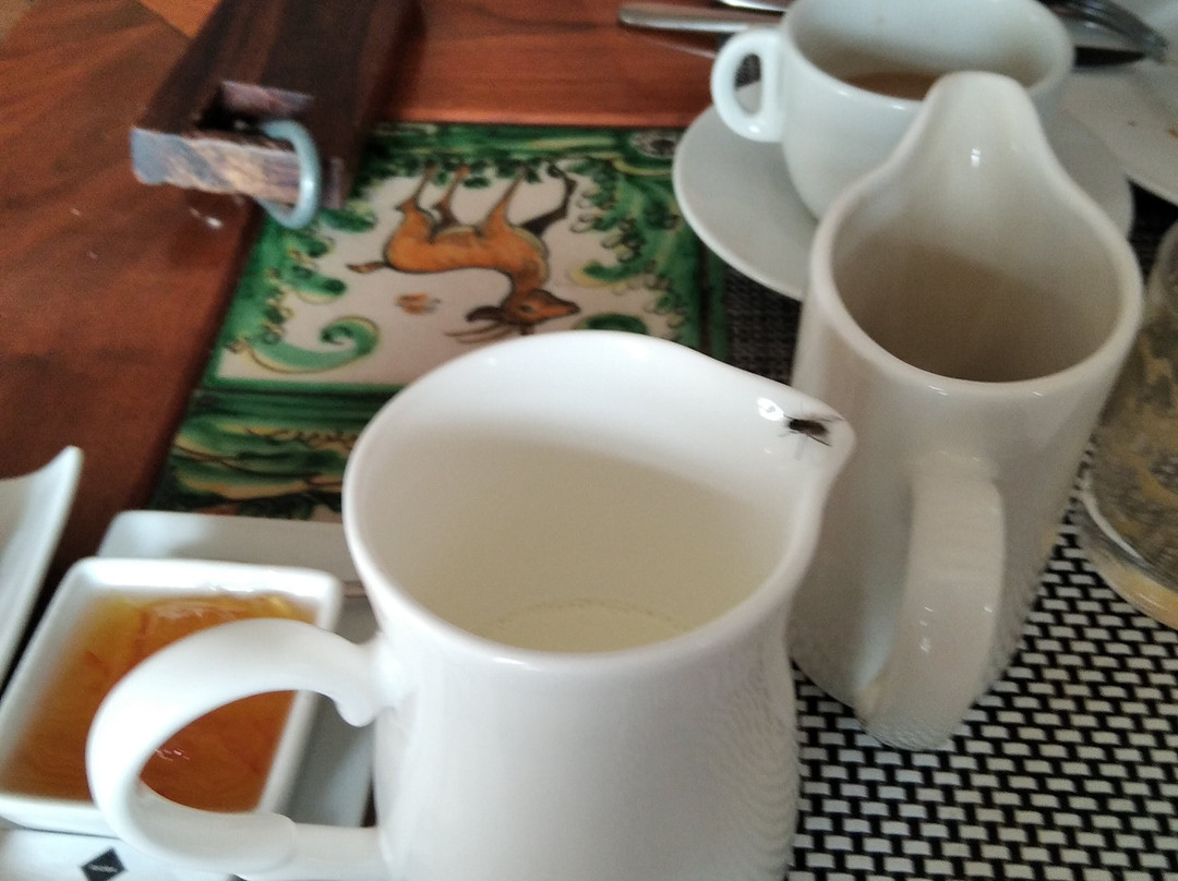 Hotel Restaurant Kuko主图