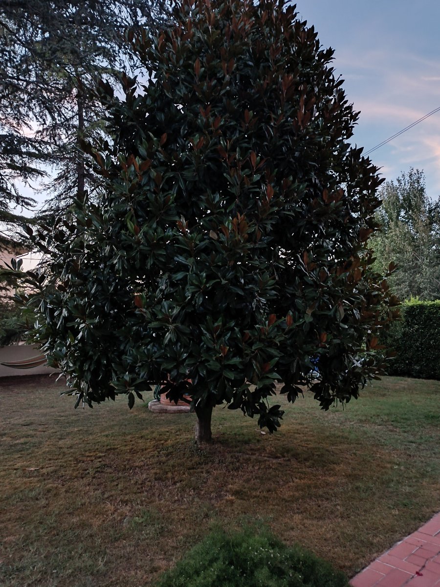 奥西住宿加早餐旅馆-浴室