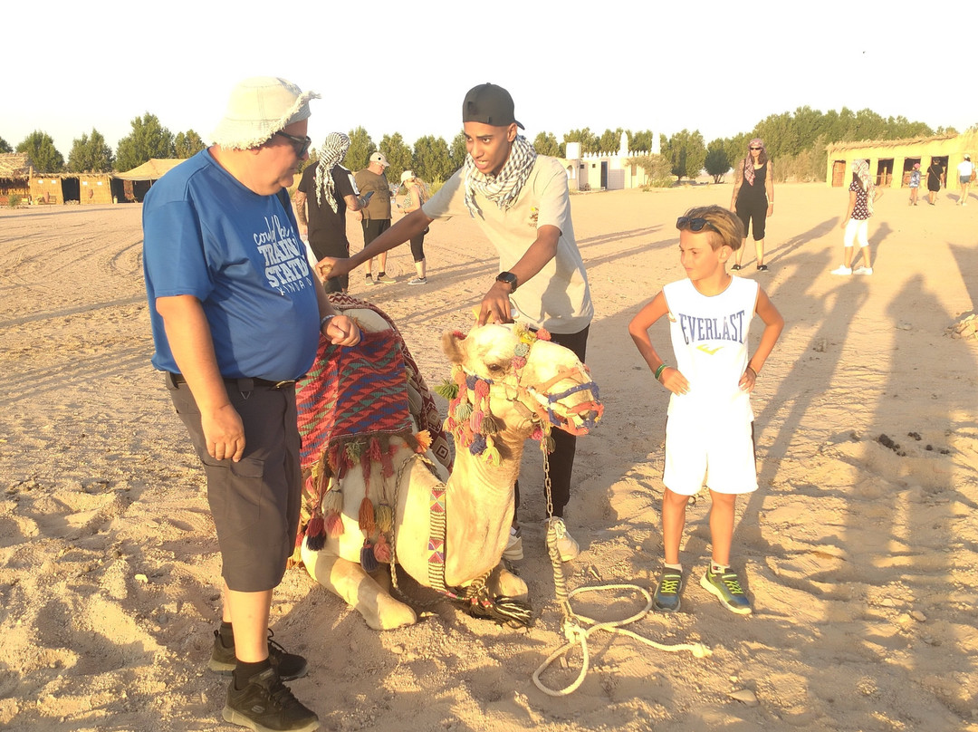 Scorpion Safari-赫尔格达必去景点