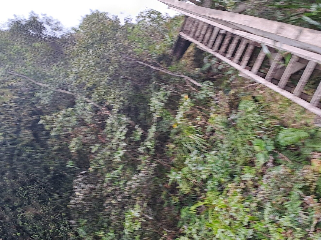 Mt Hobson via Windy Canyon-Great Barrier Island必去景点