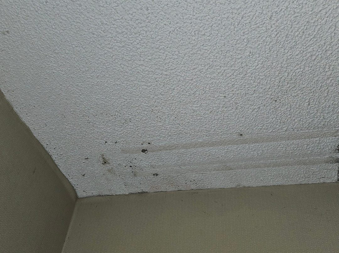 Best Western Owego Inn主图