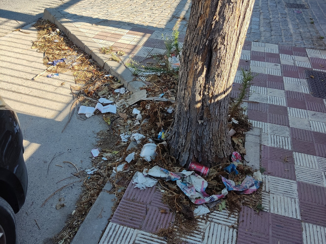 Centro histórico de Sanlúcar de Barrameda景点图片