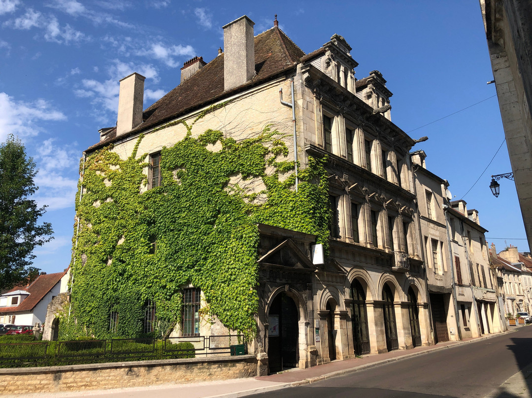 Office de Tourisme du Chatillonnais景点图片
