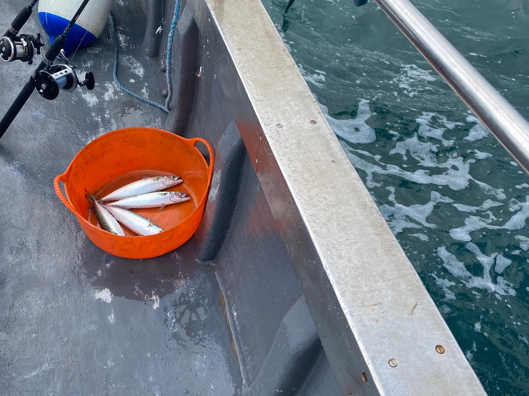 Fishing Trips From Rock-Rock必去景点