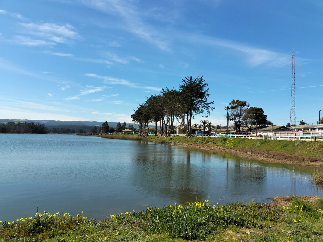 Chile Inexplorado Expediciones-皮钦勒姆必去景点