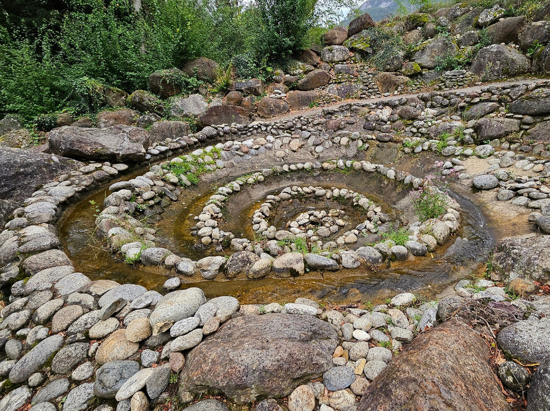 Parc de la Préhistoire景点图片