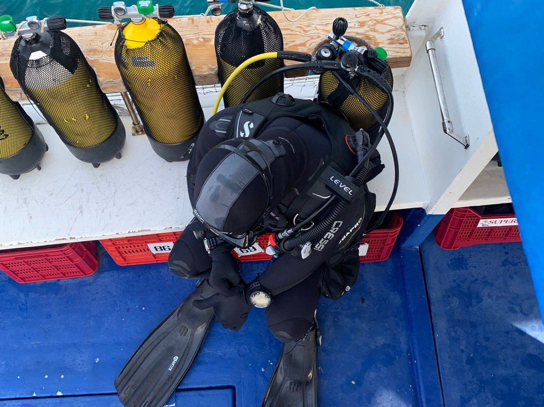 Sub Now Diving Center-Marina di Campo必去景点