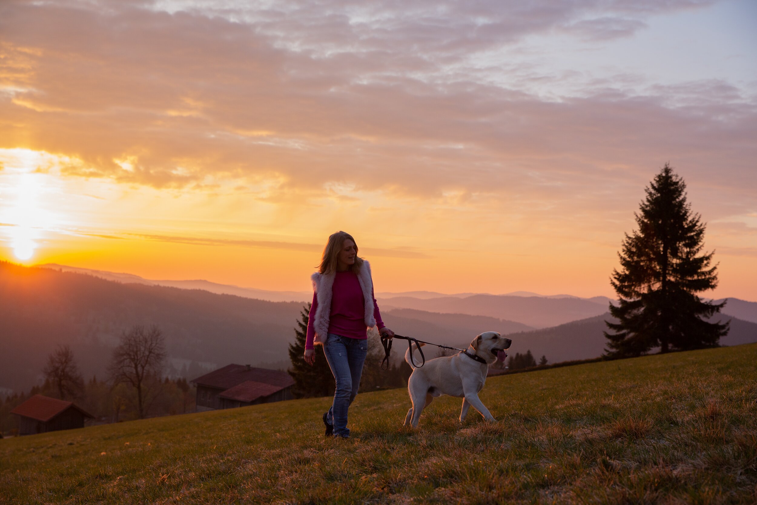 Hunderesort Waldeck-浴室