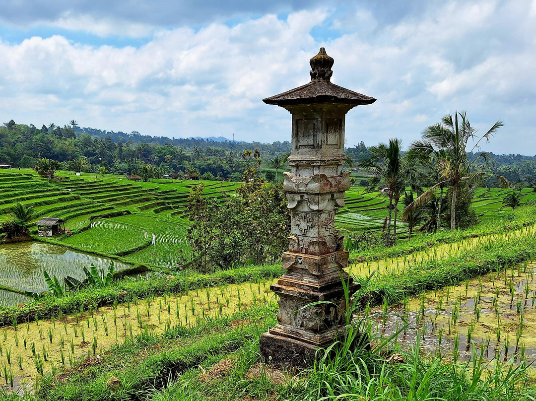 Jatiluwih-Jatiluwih必去景点