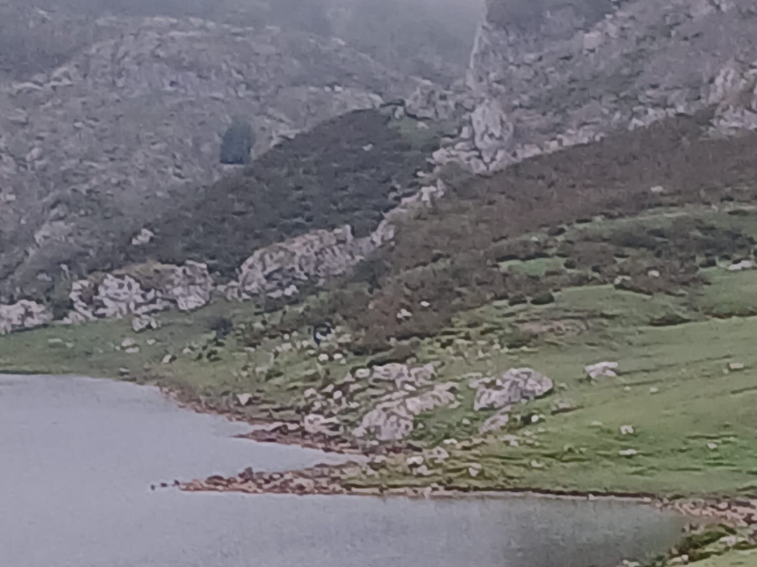 Birdwatch Asturias景点图片