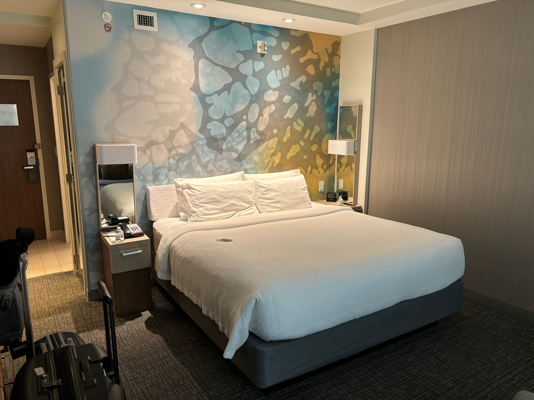 Courtyard by Marriott Asheville Biltmore Village主图