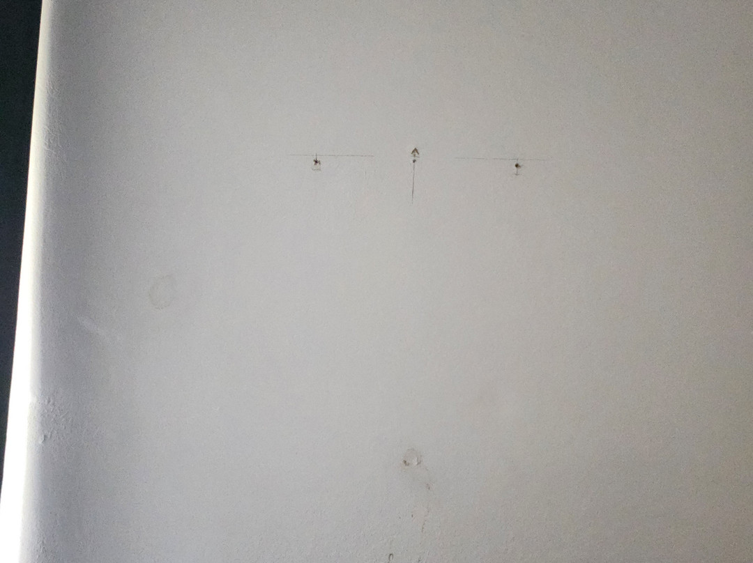 Wingate by Wyndham Williamsburg主图