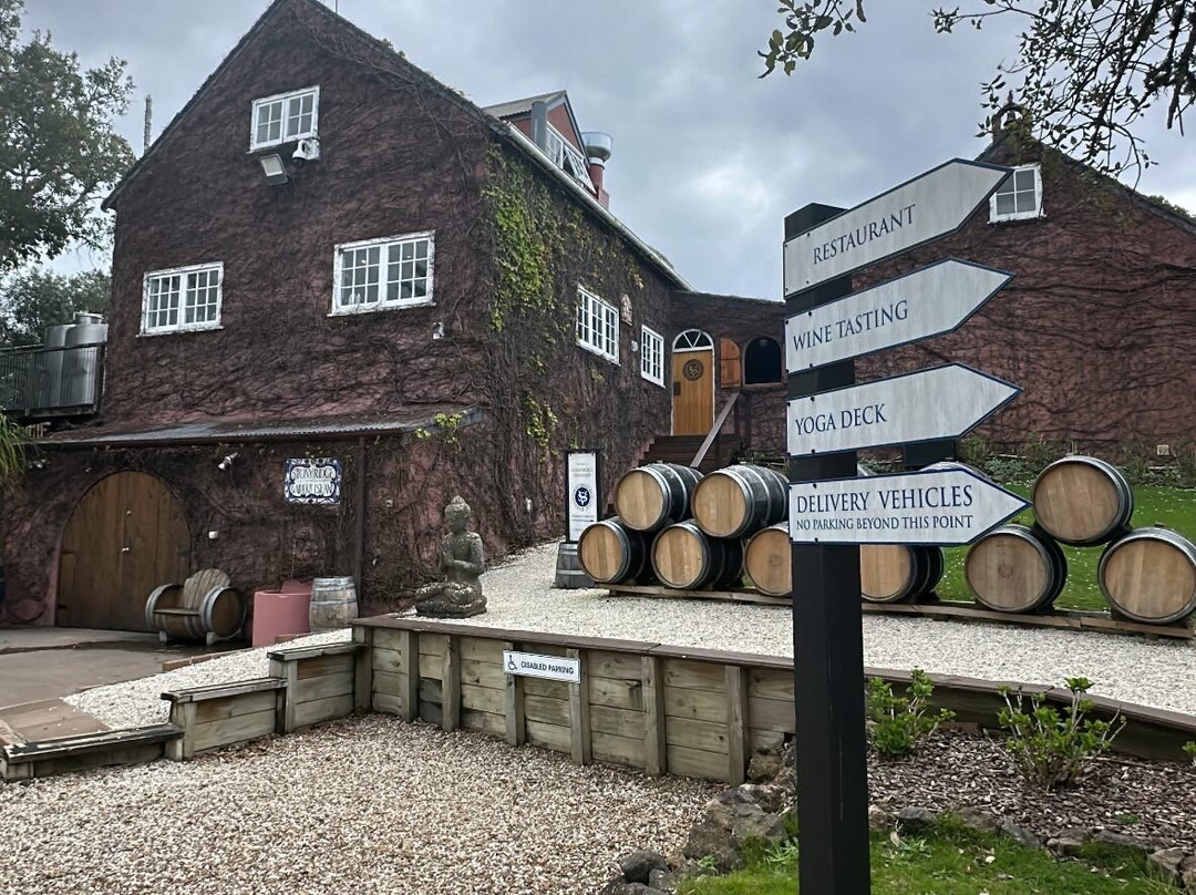 Kiwi Connect - Auckland  Guided Tours-奥克兰中心地区必去景点