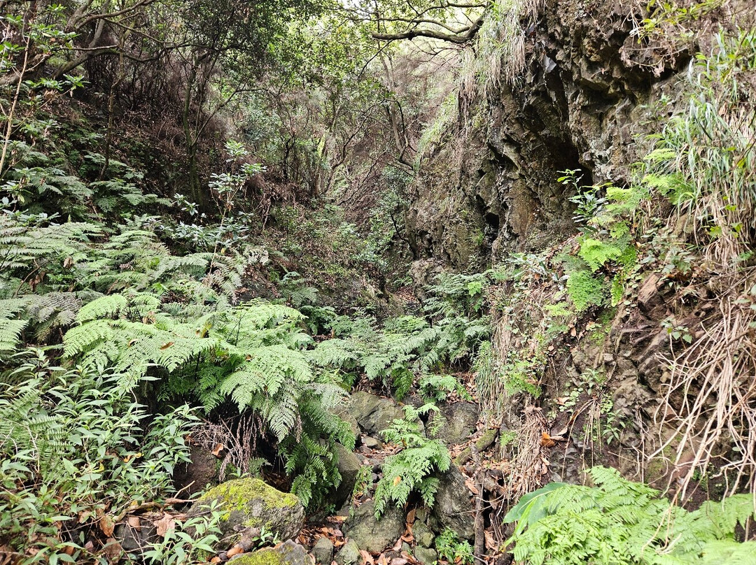 Vereda Do Larano景点图片