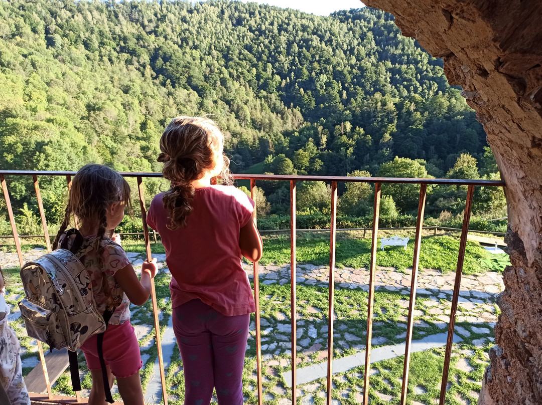 La Costa De Mollo主图