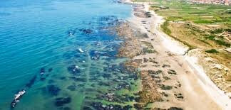 Praia de Cepaes景点图片