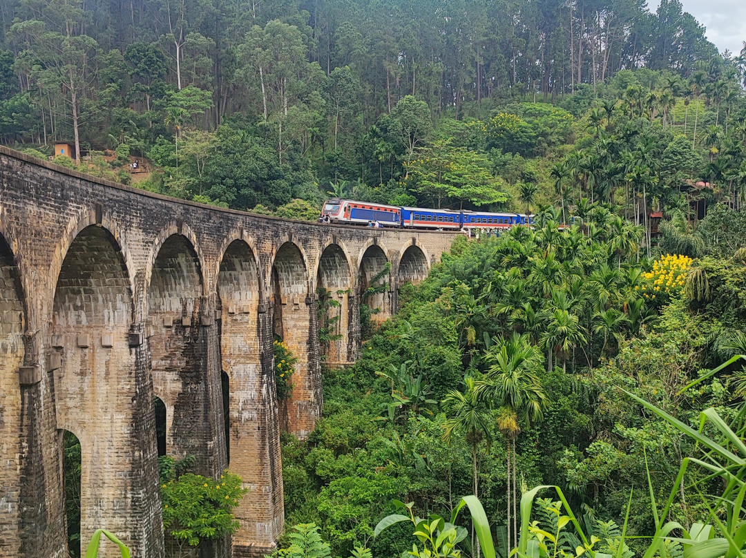 Hola Sri Lanka Tours景点图片