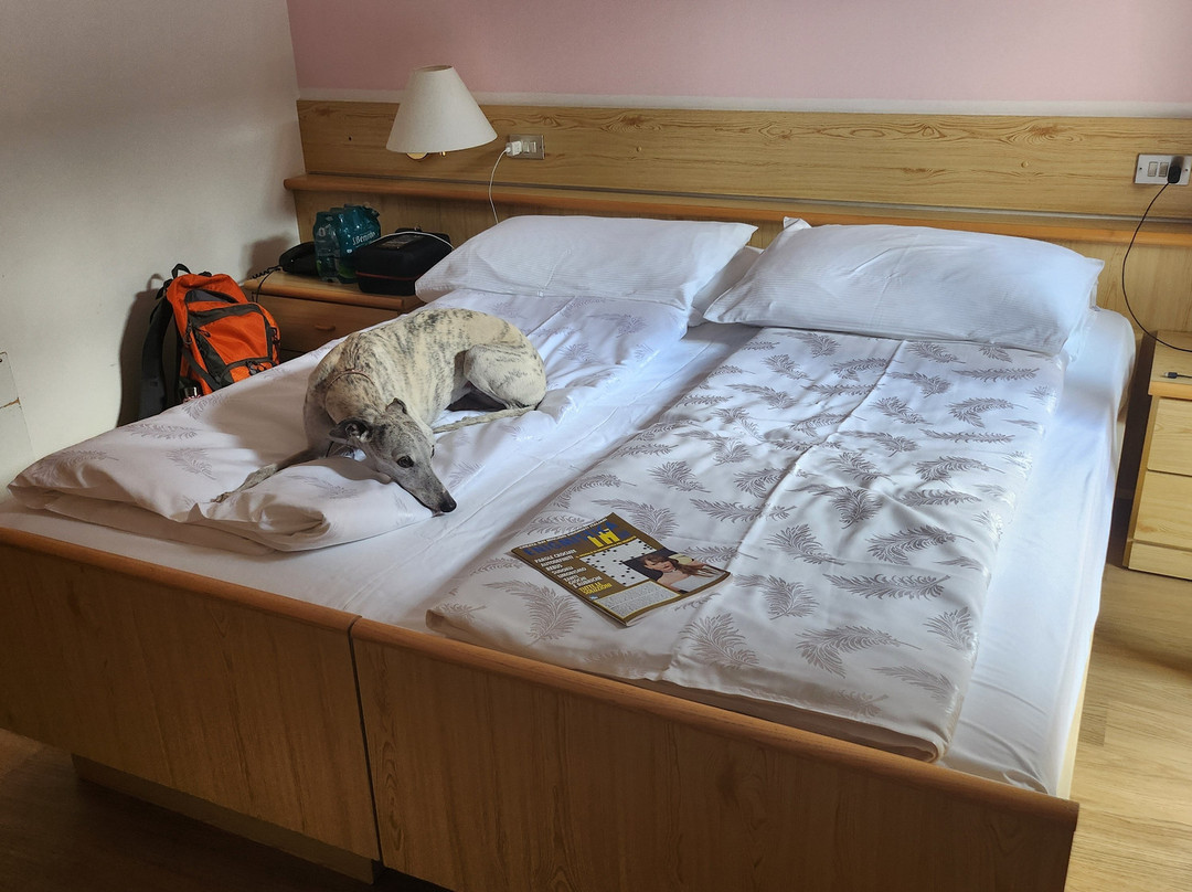 Alpine Touring Hotel主图