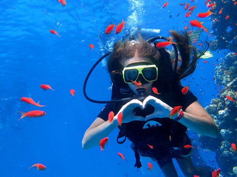 Hero Diving-沙姆沙伊赫必去景点