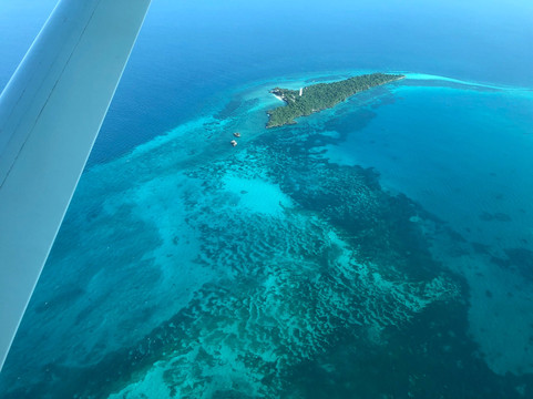 My Fly Aviation-桑给巴尔市必去景点