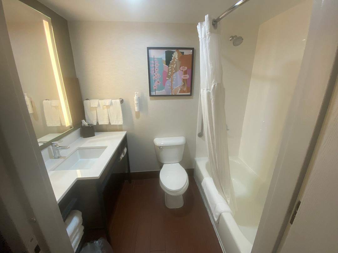 布鲁明顿希尔顿花园旅馆主图