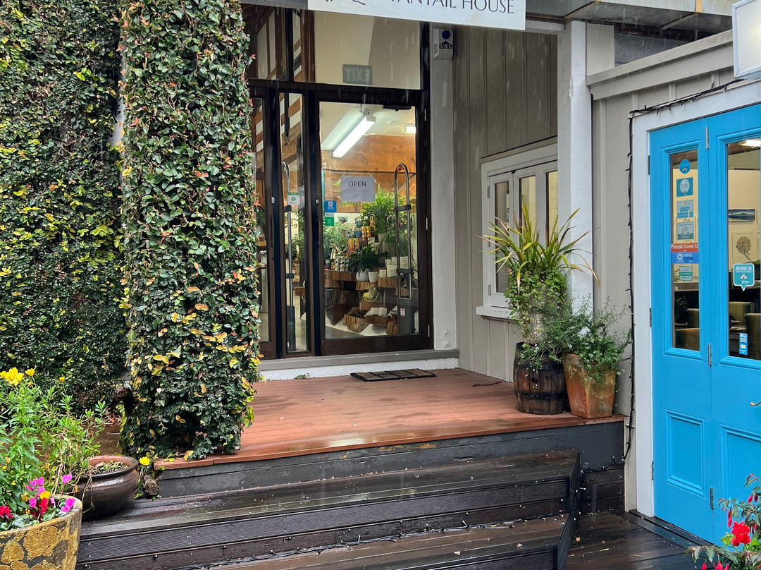 大象屋-奥克兰中心地区必去景点