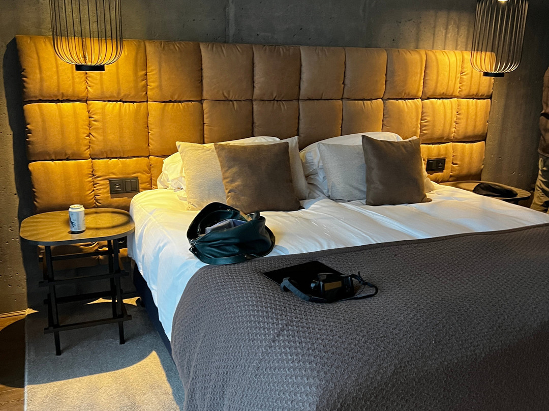 格伊瑟尔酒店主图