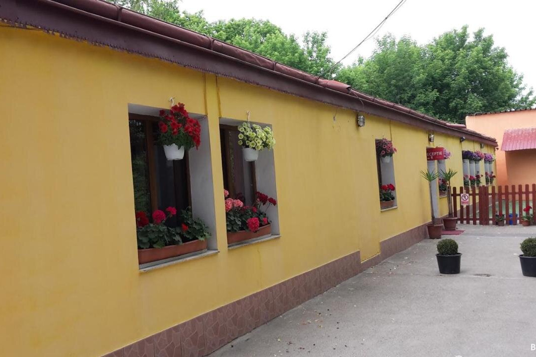 Pensiunea Sans Rival主图