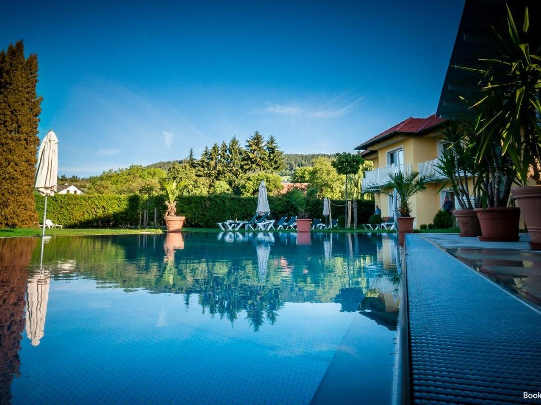 Dorf Hotel Gruner Baum主图