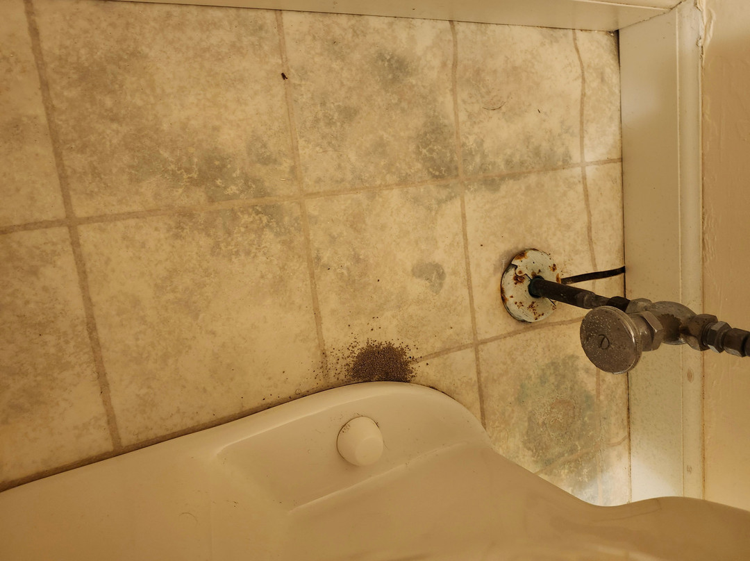 Presque Isle's Huron Shore Motel主图